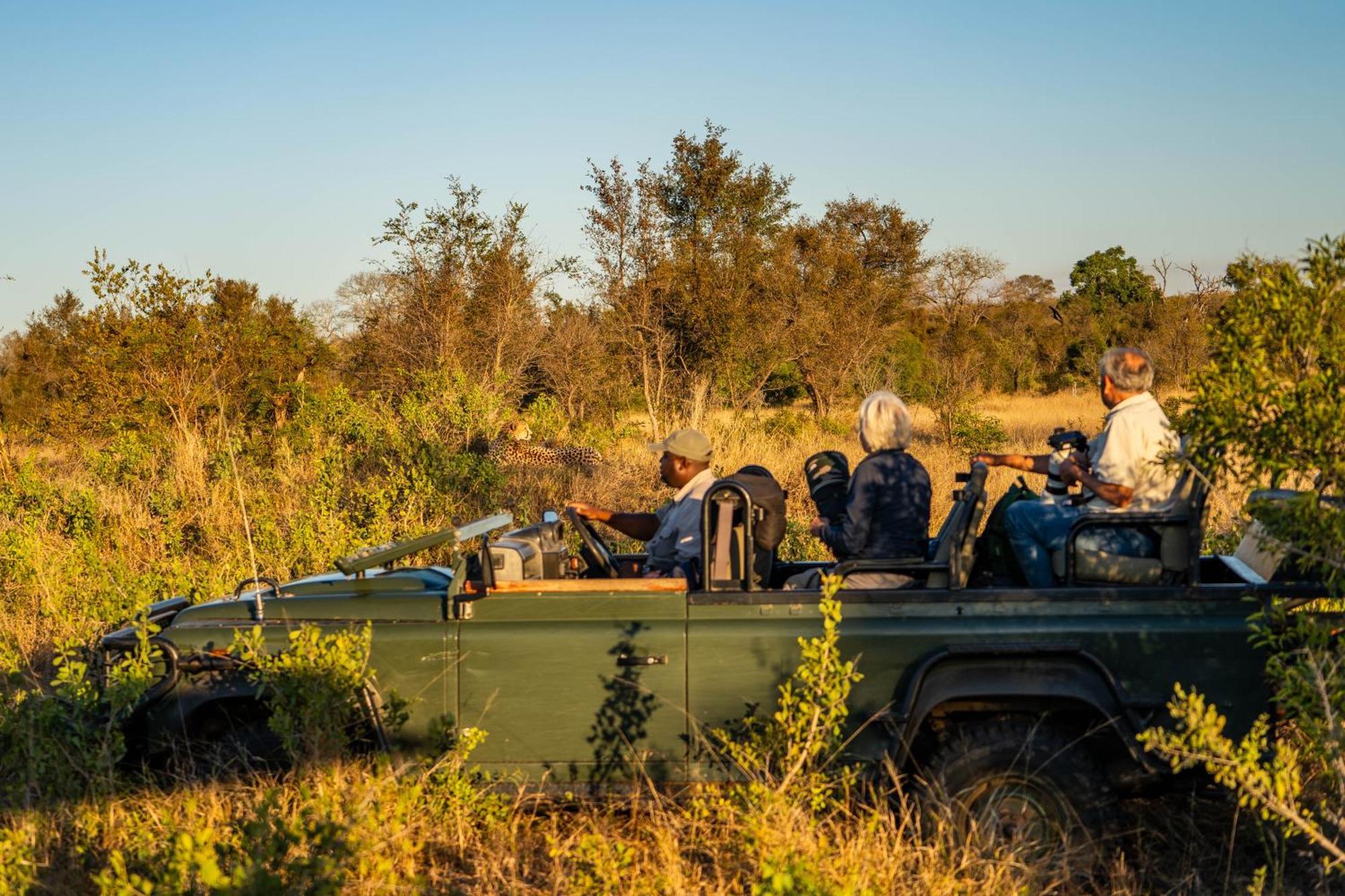 Ndzhaka Tented Camp Manyeleti Game Reserve Eksteriør billede