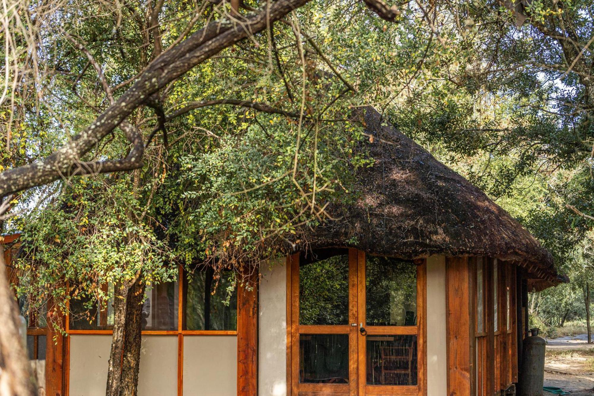 Ndzhaka Tented Camp Manyeleti Game Reserve Eksteriør billede