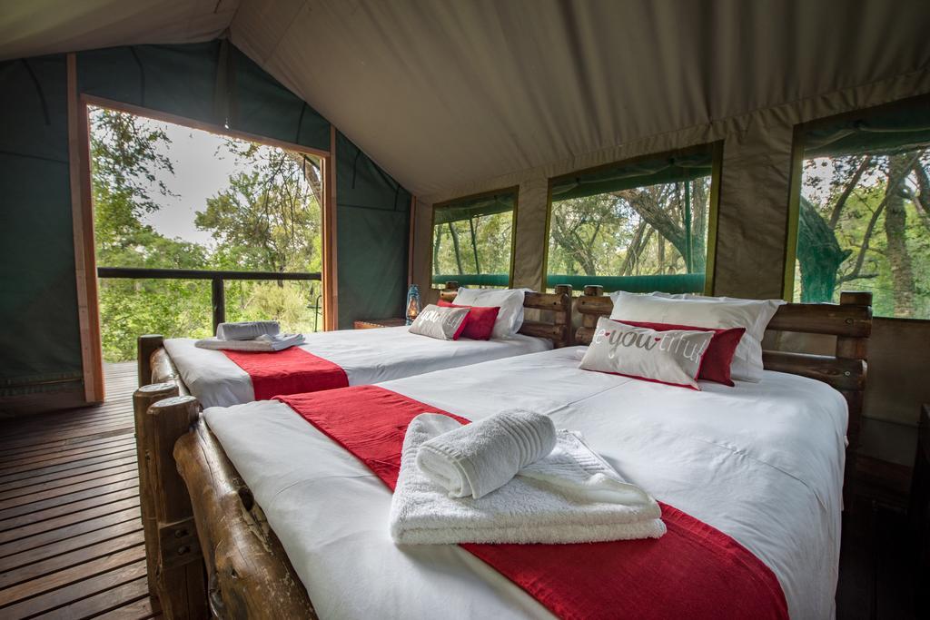 Ndzhaka Tented Camp Manyeleti Game Reserve Eksteriør billede