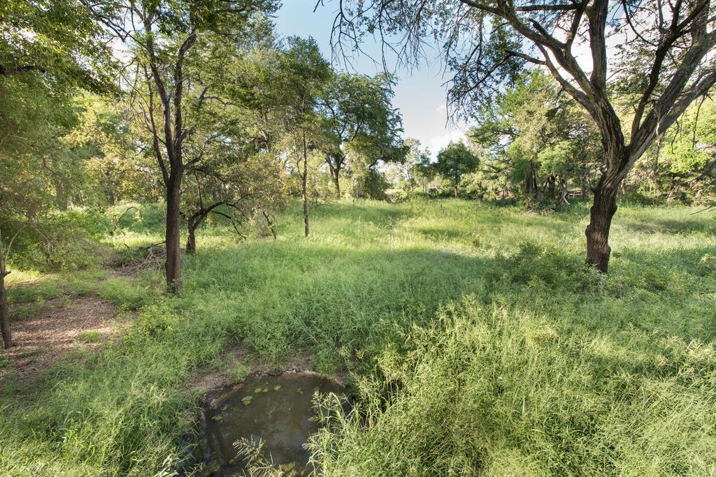 Ndzhaka Tented Camp Manyeleti Game Reserve Eksteriør billede