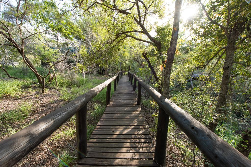 Ndzhaka Tented Camp Manyeleti Game Reserve Eksteriør billede