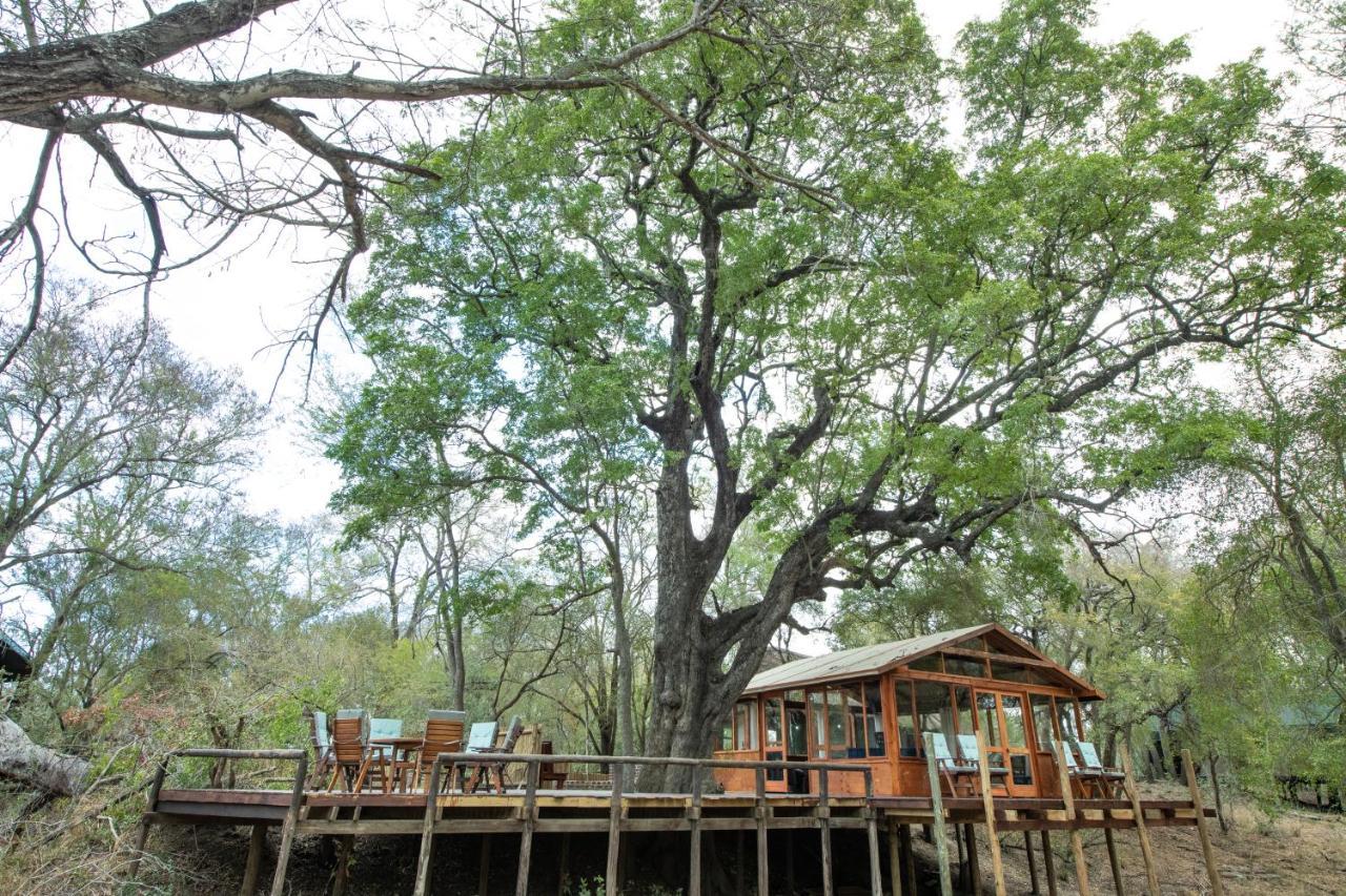 Ndzhaka Tented Camp Manyeleti Game Reserve Eksteriør billede